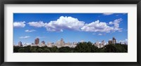 Trees with row of buildings, Central Park, Manhattan, New York City, New York State, USA Fine Art Print