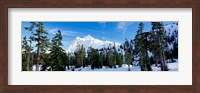 Trees on a snow covered mountain, Mt Shuksan, Mt Baker-Snoqualmie National Forest, Washington State, USA Fine Art Print