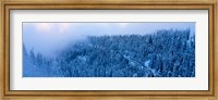High angle view of a forest, Mt Baker Ski Area, Whatcom County, Mt Baker-Snoqualmie National Forest, Washington State, USA Fine Art Print