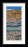 Indian Ocean, Fringe Reef, Mombasa Marine National Park and Reserve, Kenya Fine Art Print