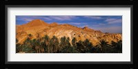 Palm trees in front of mountains, Chebika, Tunisia Fine Art Print