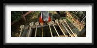 Water ladles in a shrine, Fushimi Inari-Taisha, Fushimi Ward, Kyoto, Kyoto Prefecture, Kinki Region, Honshu, Japan Fine Art Print