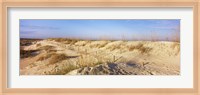 Sand dunes on the beach, Anastasia State Recreation Area, St. Augustine, St. Johns County, Florida, USA Fine Art Print