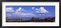 Fence on the beach, Tampa Bay, Gulf Of Mexico, Anna Maria Island, Manatee County, Florida, USA Fine Art Print