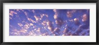 Low angle view of clouds, Caribbean Sea Fine Art Print