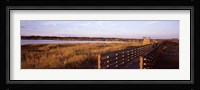 Boardwalk in a state park, Myakka River State Park, Sarasota, Sarasota County, Florida, USA Fine Art Print