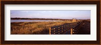 Boardwalk in a state park, Myakka River State Park, Sarasota, Sarasota County, Florida, USA Fine Art Print