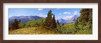 Trees with mountains in the background, Looking Glass, US Glacier National Park, Montana, USA Fine Art Print
