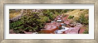 Low angle view of a creek, Baring Creek, US Glacier National Park, Montana, USA Fine Art Print