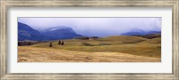 Rolling landscape with mountains in the background, East Glacier Park, Glacier County, Montana, USA Fine Art Print