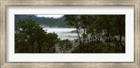 Volcanic lake in a forest, Kawah Putih, West Java, Indonesia Fine Art Print