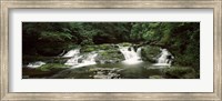 Dingmans Creek flowing through a forest, Dingmans Falls Area, Delaware Water Gap National Recreation Area, Pennsylvania, USA Fine Art Print