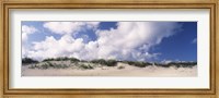 Sand dunes, Cape Hatteras National Seashore, Outer Banks, North Carolina, USA Fine Art Print