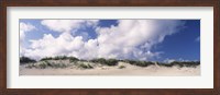 Sand dunes, Cape Hatteras National Seashore, Outer Banks, North Carolina, USA Fine Art Print