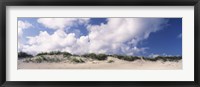 Sand dunes, Cape Hatteras National Seashore, Outer Banks, North Carolina, USA Fine Art Print