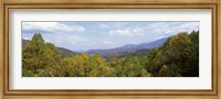 View from River Road, Great Smoky Mountains National Park, North Carolina, Tennessee, USA Fine Art Print