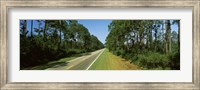 Trees both sides of a road, Route 98, Apalachicola, Panhandle, Florida, USA Fine Art Print
