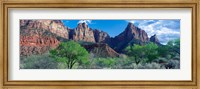 Cottonwood trees and The Watchman, Zion National Park, Utah, USA Fine Art Print