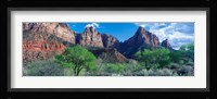 Cottonwood trees and The Watchman, Zion National Park, Utah, USA Fine Art Print