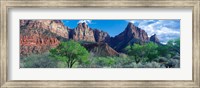 Cottonwood trees and The Watchman, Zion National Park, Utah, USA Fine Art Print