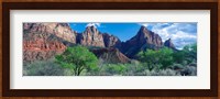 Cottonwood trees and The Watchman, Zion National Park, Utah, USA Fine Art Print