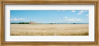 Wheat field with grain elevator near D8, Plateau de Valensole, Alpes-de-Haute-Provence, Provence-Alpes-Cote d'Azur, France Fine Art Print