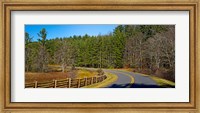 Road passing through a forest, Blue Ridge Parkway, North Carolina, USA Fine Art Print