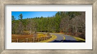 Road passing through a forest, Blue Ridge Parkway, North Carolina, USA Fine Art Print