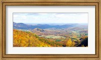 Trees on a hill, North Carolina, USA Fine Art Print