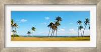 Palm trees on the beach, Lauderdale, Florida, USA Fine Art Print