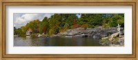 Trees at the riverside, Moon River, Bala, Muskoka, Ontario, Canada Fine Art Print