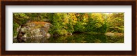 Colorful trees and rocks along the Musquash River, Muskoka, Ontario, Canada Fine Art Print