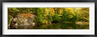Colorful trees and rocks along the Musquash River, Muskoka, Ontario, Canada Fine Art Print