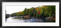 Trees at the Riverside, Musquash River, Muskoka, Ontario, Canada Fine Art Print