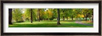 Trees in autumn, Blue Lake Park, Portland, Multnomah County, Oregon, USA Fine Art Print