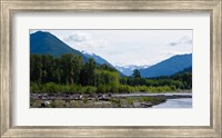 Trees in front of mountains in Quinault Rainforest, Olympic National Park, Washington State, USA Fine Art Print