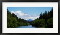 River flowing through a forest, Queets Rainforest, Olympic National Park, Washington State, USA Fine Art Print