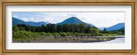 Quinault Rainforest, Olympic National Park, Olympic Peninsula, Washington State Fine Art Print