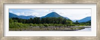 Quinault Rainforest, Olympic National Park, Olympic Peninsula, Washington State Fine Art Print