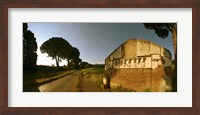 Tombs and umbrella pines along the Via Appia Antica, Rome, Lazio, Italy Fine Art Print