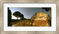 Tombs and umbrella pines along the Via Appia Antica, Rome, Lazio, Italy Fine Art Print