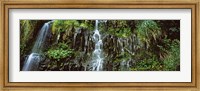 Waterfall in a forest, Hawaii, USA Fine Art Print
