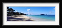 Palm trees on the beach, Lanikai Beach, Oahu, Hawaii, USA Fine Art Print