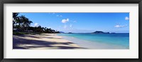 Palm trees on the beach, Lanikai Beach, Oahu, Hawaii, USA Fine Art Print