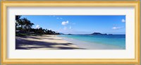 Palm trees on the beach, Lanikai Beach, Oahu, Hawaii, USA Fine Art Print