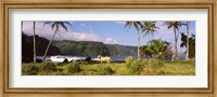 Horse and palm trees on the coast, Hawaii, USA Fine Art Print