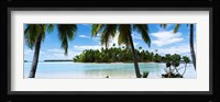 Palm trees on the beach, Rangiroa Atoll, French Polynesia Fine Art Print