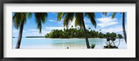 Palm trees on the beach, Rangiroa Atoll, French Polynesia Fine Art Print