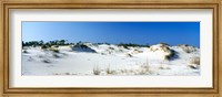 Sand dunes in a desert, St. George Island State Park, Florida Panhandle, Florida, USA Fine Art Print
