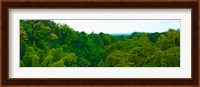 Trees on the bay, Rempart and Mamelles peaks, Tamarin Bay, Mauritius island, Mauritius Fine Art Print